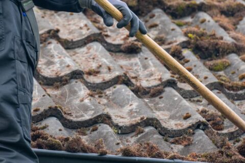 London Roof Moss Removal Experts