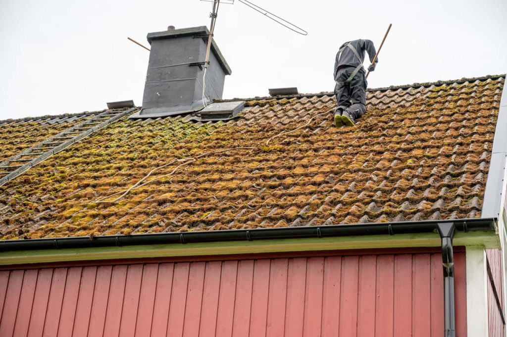 Roof moss removal London